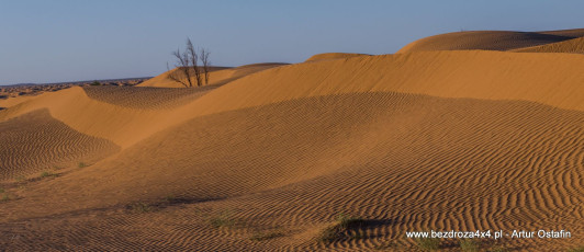 2019_Tunezja_Bezdroza4x4_DSC0280